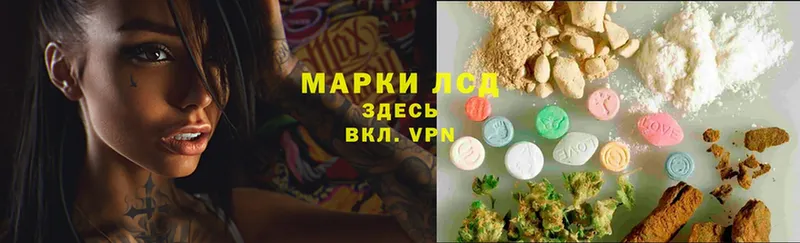 как найти   Севск  ЛСД экстази ecstasy 